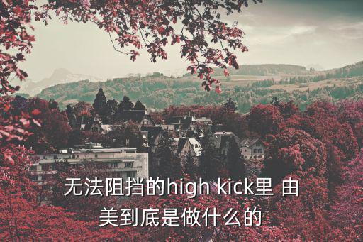 無法阻擋的high kick里 由美到底是做什么的