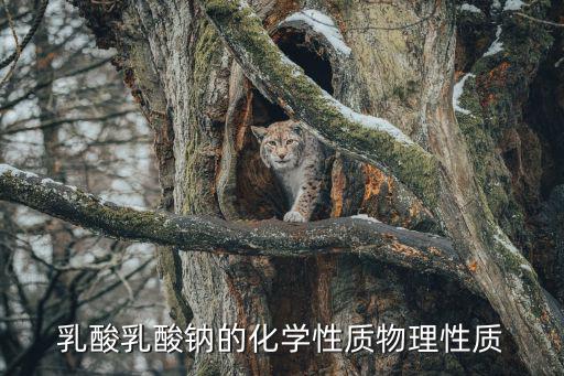 乳酸乳酸鈉的化學性質物理性質