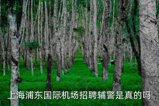 上海浦東國際機場招聘輔警是真的嗎