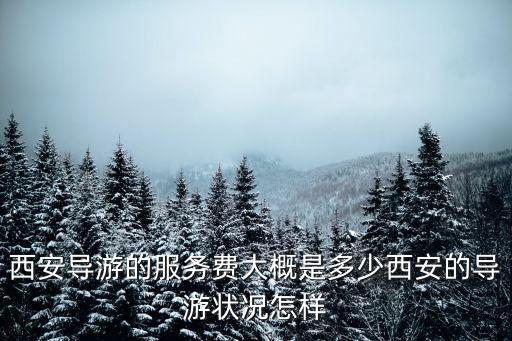 西安導游的服務費大概是多少西安的導游狀況怎樣