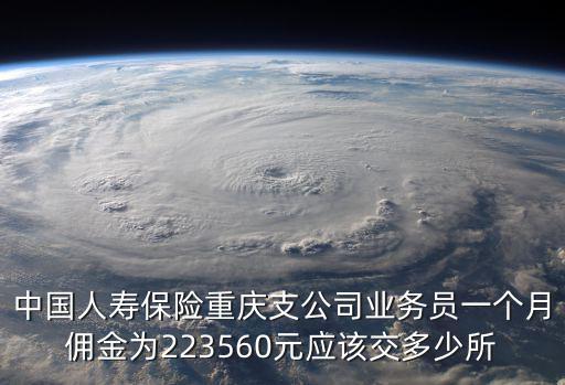 中國人壽保險重慶支公司業務員一個月傭金為223560元應該交多少所