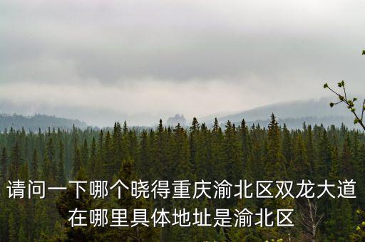 請問一下哪個曉得重慶渝北區雙龍大道在哪里具體地址是渝北區
