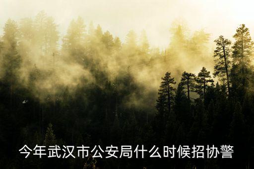 今年武漢市公安局什么時候招協警