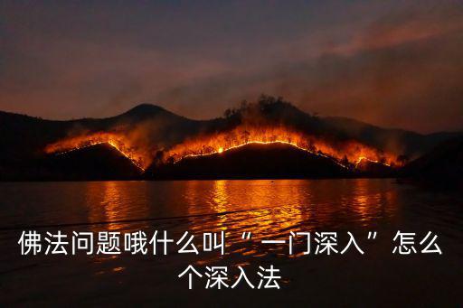 一門深入,推薦聽苗銀大師:佛學之路一根歸本六六成解脫