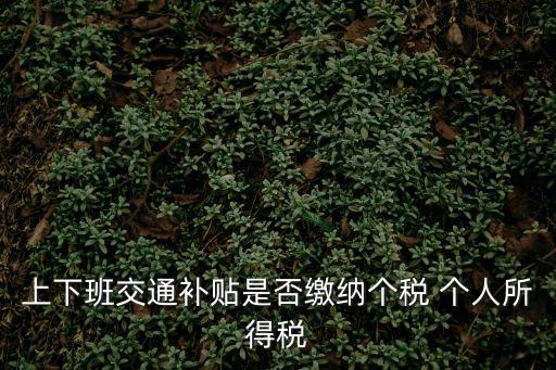 上下班交通補貼是否繳納個稅 個人所得稅