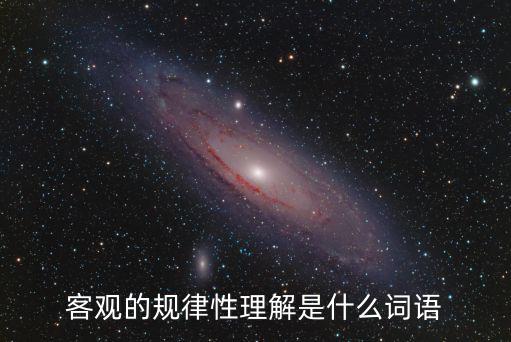 客觀的規律性理解是什么詞語