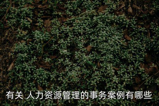有關 人力資源管理的事務案例有哪些