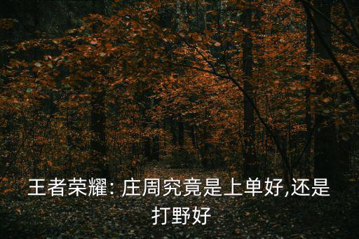 莊周打野出裝,最后一單選戰斗力爆棚莊周鐵塔可長期保修
