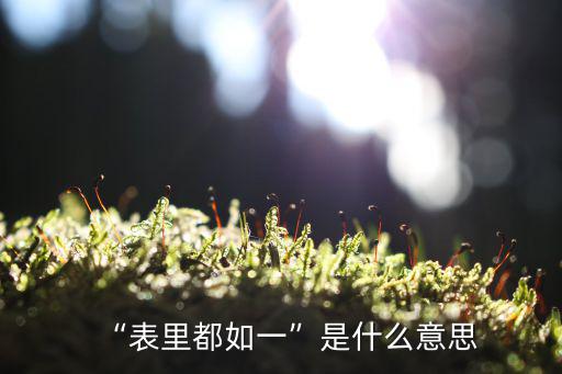 表里如一是什么意思,表里如一四大精神