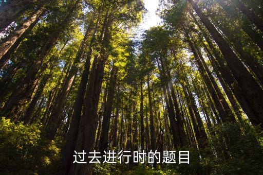 過去進行時練習題，過去進行時題目