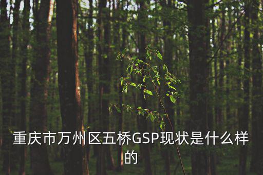 重慶市萬州區五橋GSP現狀是什么樣的