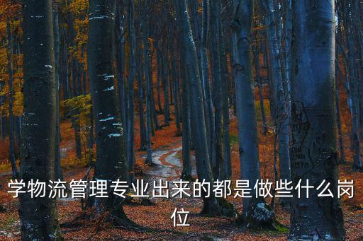 學(xué)物流管理專業(yè)出來的都是做些什么崗位