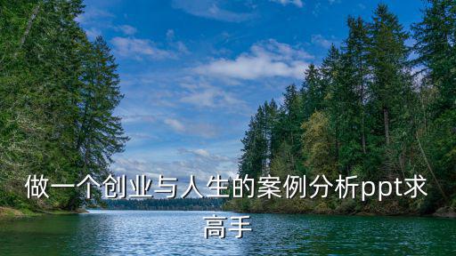 做一個(gè)創(chuàng)業(yè)與人生的案例分析ppt求高手