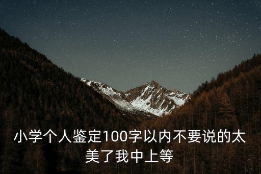 小學(xué)個(gè)人鑒定100字以內(nèi)不要說的太美了我中上等