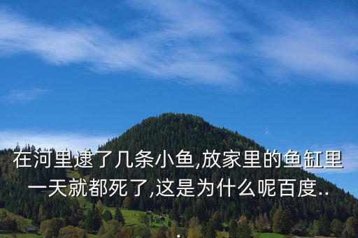 在河里逮了幾條小魚,放家里的魚缸里一天就都死了,這是為什么呢百度...