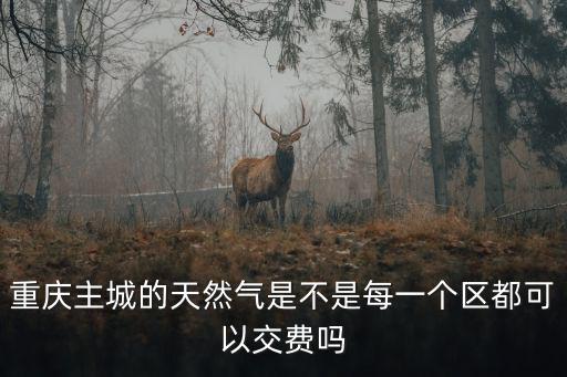 重慶主城的天然氣是不是每一個區都可以交費嗎