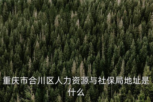 重慶市合川區(qū)人力資源與社保局地址是什么