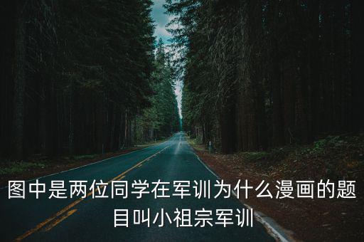 圖中是兩位同學(xué)在軍訓(xùn)為什么漫畫的題目叫小祖宗軍訓(xùn)