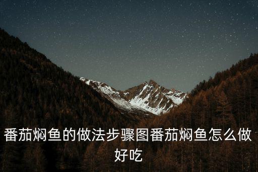 番茄燜魚的做法步驟圖番茄燜魚怎么做好吃