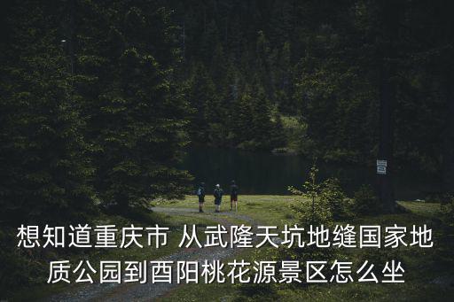 想知道重慶市 從武隆天坑地縫國家地質公園到酉陽桃花源景區怎么坐