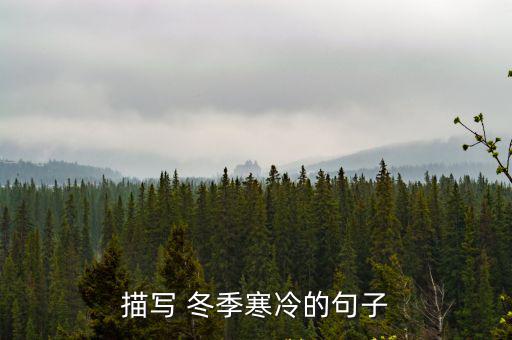 描寫 冬季寒冷的句子