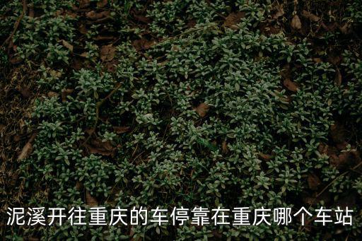 泥溪開往重慶的車停靠在重慶哪個車站