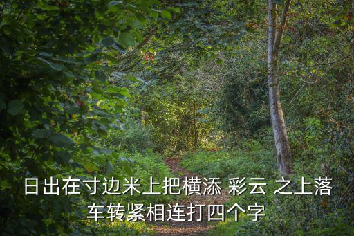 彩云之上,精選新傳媒2019