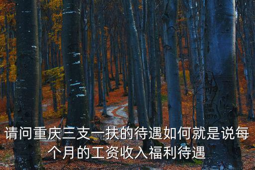 請問重慶三支一扶的待遇如何就是說每個月的工資收入福利待遇