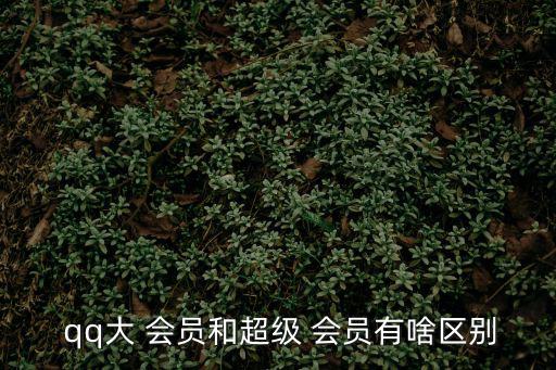 qq會員,會員有何作用?