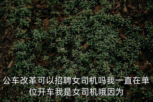 公車改革可以招聘女司機嗎我一直在單位開車我是女司機哦因為