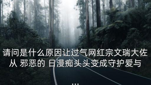 請問是什么原因讓過氣網紅宗文瑞大佐從 邪惡的 日漫癡頭頭變成守護愛與...