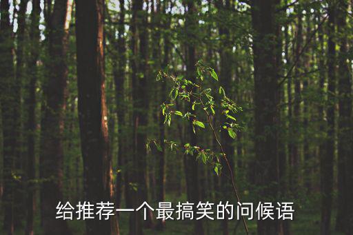 給推薦一個最搞笑的問候語