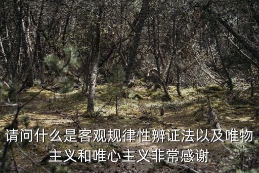 客觀規律性，客觀的規律性理解是什么詞語