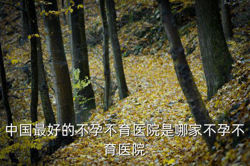 中國最好的不孕不育醫院是哪家不孕不育醫院