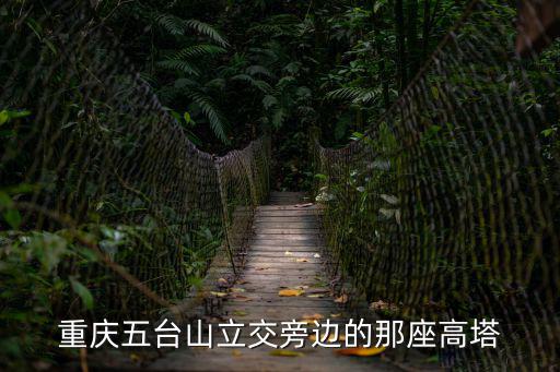 重慶五臺山立交旁邊的那座高塔