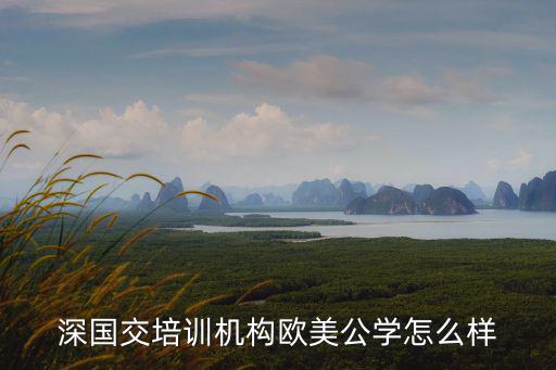 深國交培訓機構歐美公學怎么樣