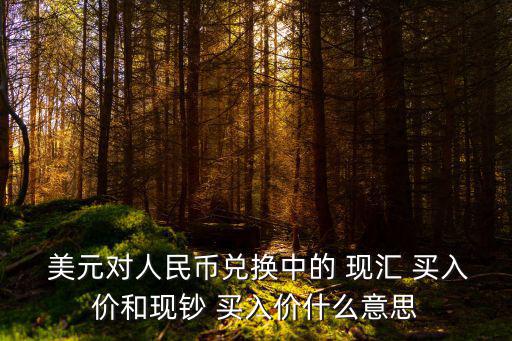  美元對(duì)人民幣兌換中的 現(xiàn)匯 買入價(jià)和現(xiàn)鈔 買入價(jià)什么意思
