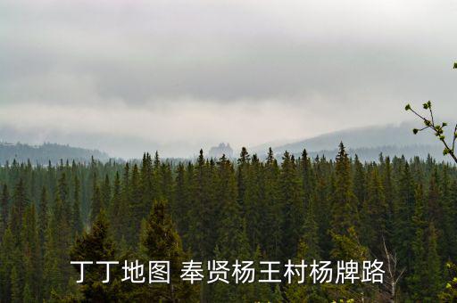 奉賢區地圖全圖高清版，丁丁地圖 奉賢楊王村楊牌路