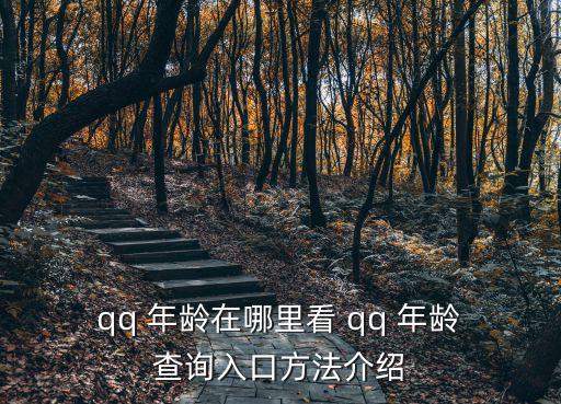  qq 年齡在哪里看 qq 年齡 查詢?nèi)肟诜椒ń榻B