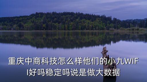 重慶中商科技怎么樣他們的小九WIFI好嗎穩定嗎說是做大數據