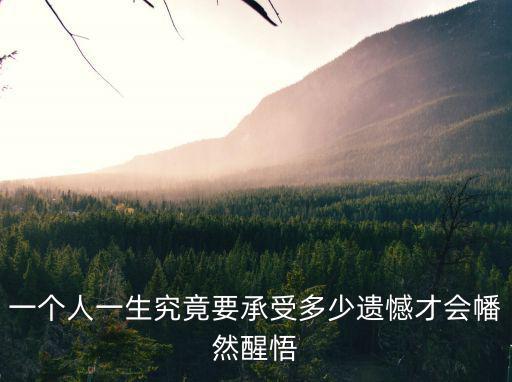 多少遺憾，一個人一生究竟要承受多少遺憾才會幡然醒悟
