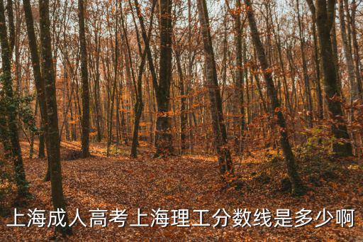上海成人高考上海理工分數線是多少啊