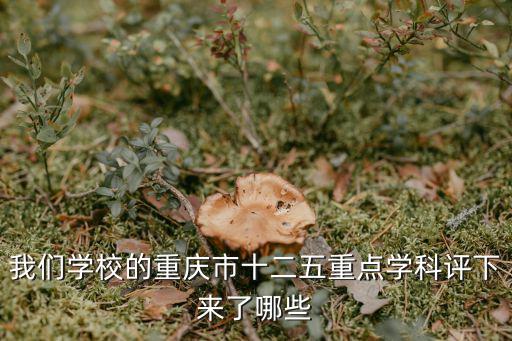 我們學校的重慶市十二五重點學科評下來了哪些