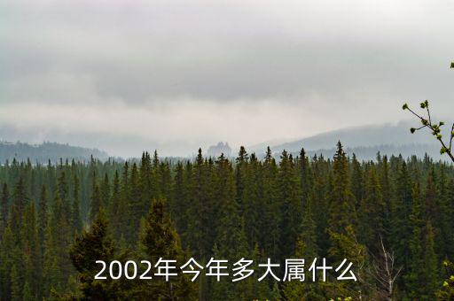 2002年今年多大屬什么