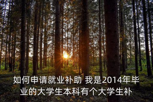 如何申請就業補助 我是2014年畢業的大學生本科有個大學生補