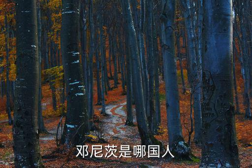 鄧尼茨是哪國人