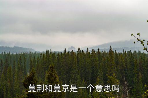 蔓荊,井子荊條和牡丹一樣多名字來自中國