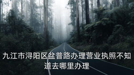 九江代辦營業(yè)執(zhí)照，九江市潯陽區(qū)盆普路辦理營業(yè)執(zhí)照不知道去哪里辦理