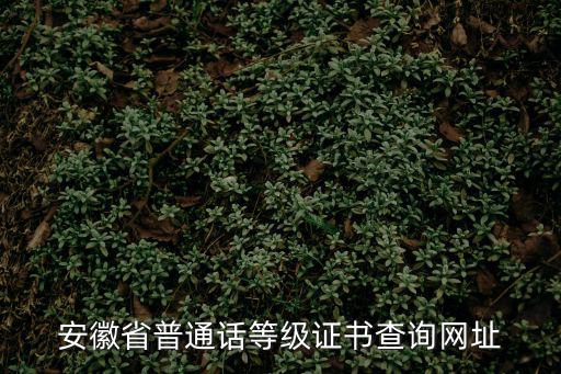 安徽省普通話等級證書查詢網址