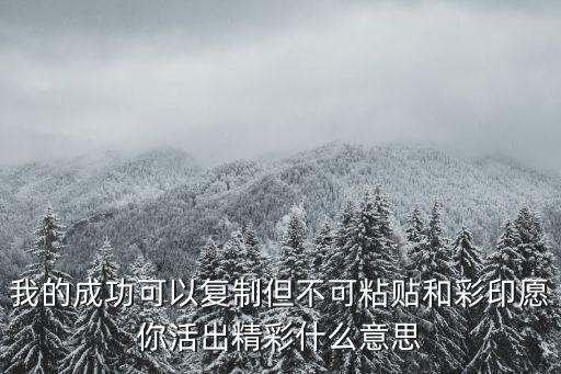 我的成功可以復制但不可粘貼和彩印愿你活出精彩什么意思